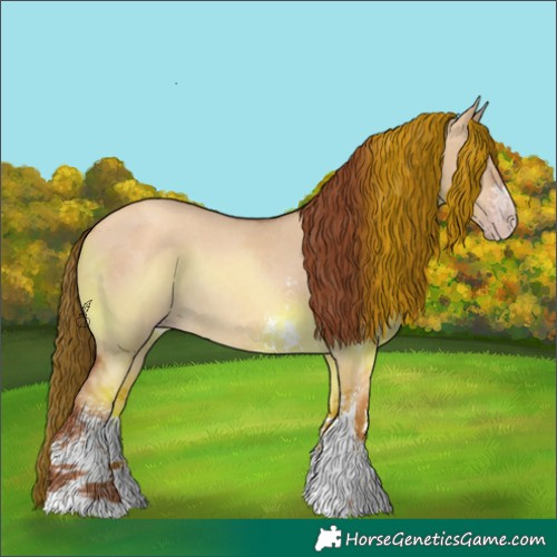 Horse Color:Gray Gold Champagne Dun Sabino Rabicano 