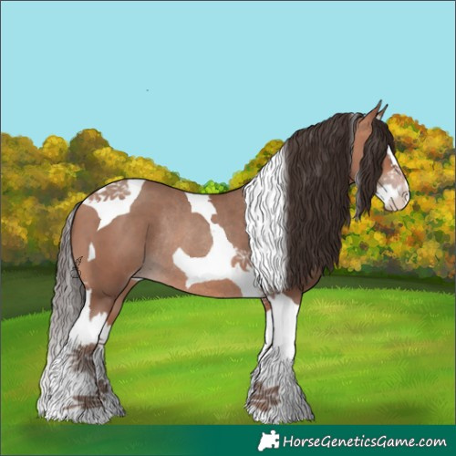 Horse Color:Amber Champagne Splash Tobiano Rabicano 
