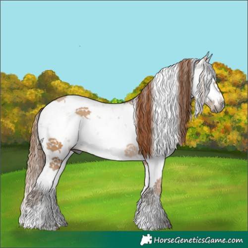 Horse Color:Gray Bay Snowdrop Pearl Sabino Rabicano 