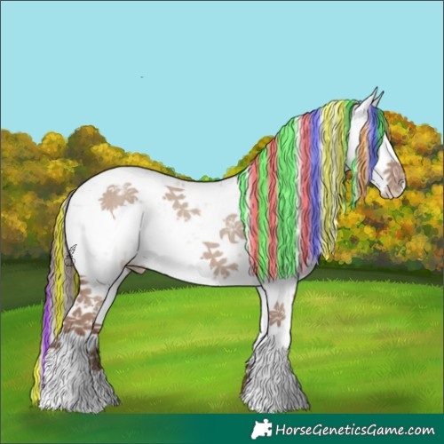 Horse Color:Painted Classic Champagne Dun Sabino Appaloosa Rabicano