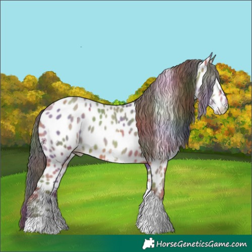 Horse Color:Nacre Sable Champagne Sabino Tobiano Appaloosa Rabicano