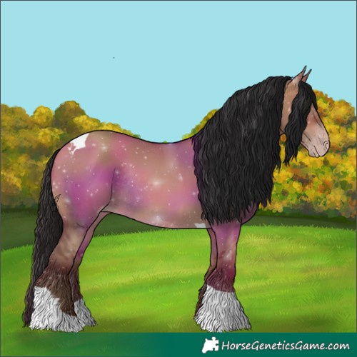 Horse Color:Gray Amber Champagne Dun Tobiano Rabicano 