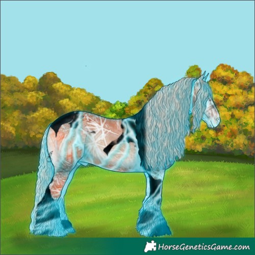 Horse Color:Void Thunderstruck Silver Blue Onyx Ice Tobiano Blanket 