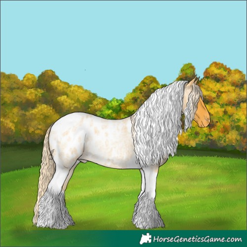 Horse Color:Palomino Roan Tobiano Blanket 
