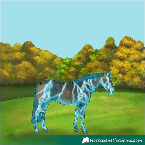 Horse Color:Void Thunderstruck White Spotted Buckskin 