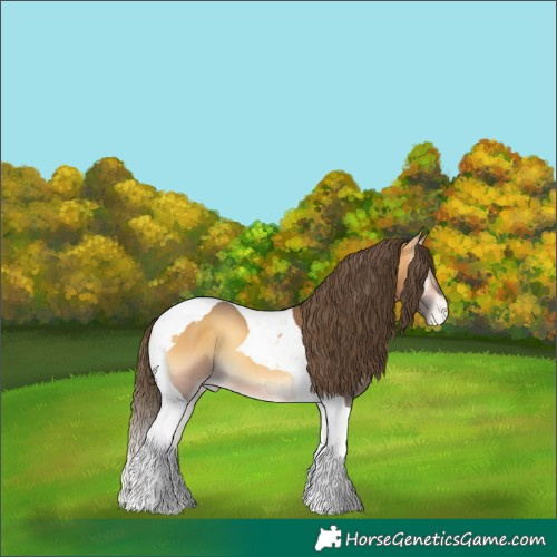 Horse Color:Buckskin Onyx Tobiano Varnish 