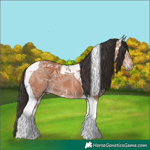 Horse Color:Bay Ice Tobiano 