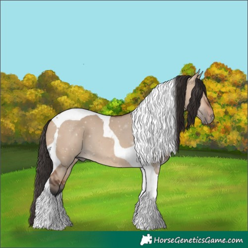 Horse Color:Bay Dun Tobiano 