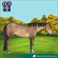 Horse Color:Gray Buckskin Pearl 