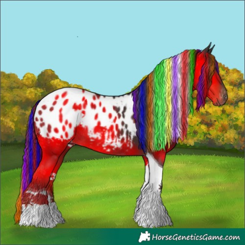 Horse Color:Gray Painted Liver Chestnut Tobiano Blanket 