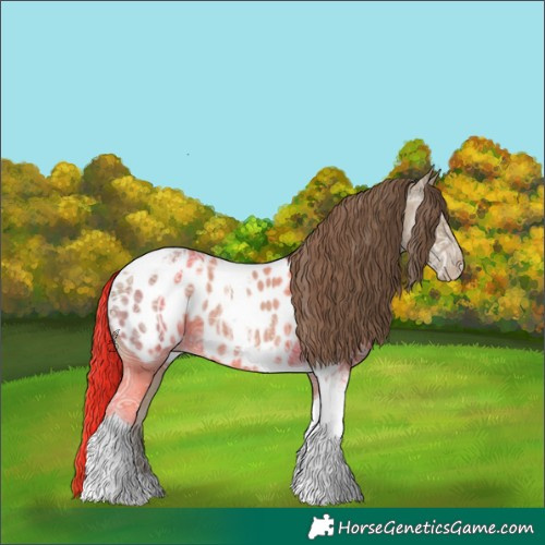Horse Color:Classic Cream Champagne Ice Tobiano Appaloosa 