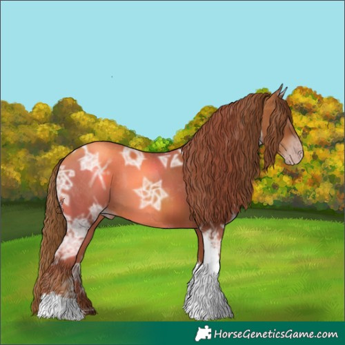 Horse Color:Gray Gold Champagne Ice Tobiano 
