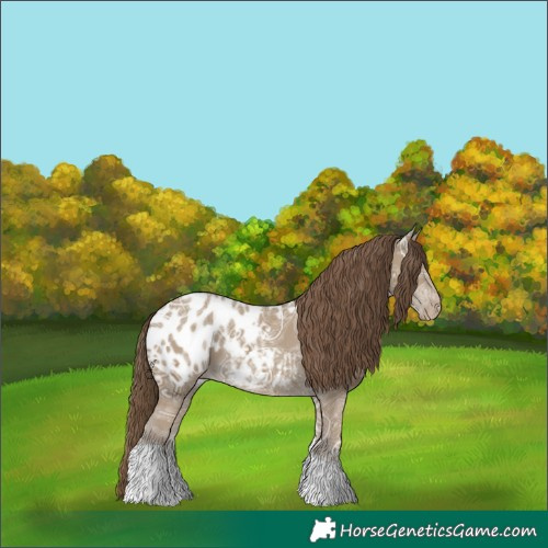 Horse Color:Classic Cream Champagne Ice Tobiano Appaloosa 