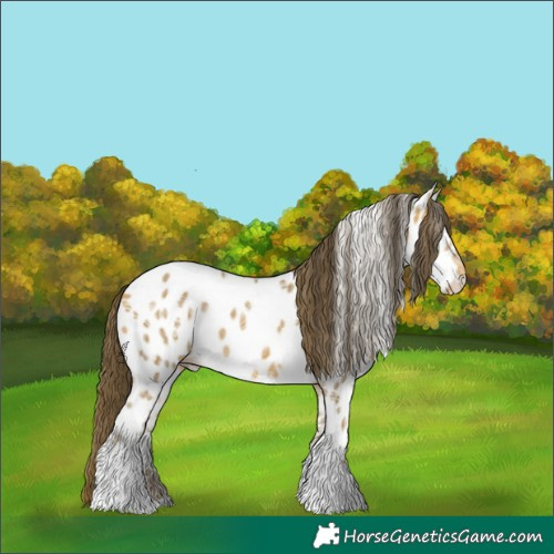 Horse Color:Sable Cream Champagne Ice Tobiano Near Leopard 