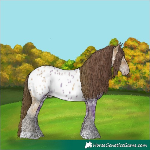 Horse Color:Classic Cream Champagne Ice Near Leopard 