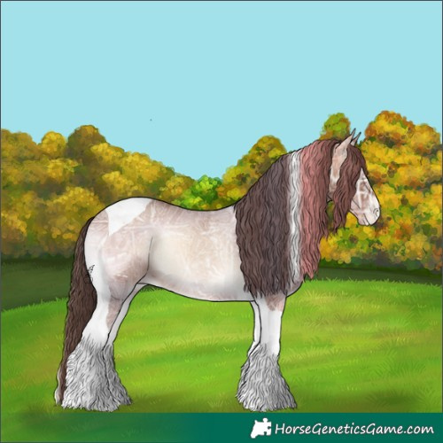 Horse Color:Classic Champagne Ice Onyx Tobiano Appaloosa 