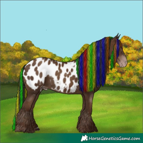 Horse Color:Gray Painted Classic Champagne Appaloosa