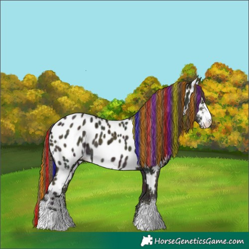 Horse Color:Painted Midnight Classic Cream Champagne Ice Sabino Appaloosa Rabicano
