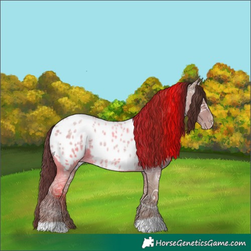 Horse Color:Classic Champagne Ice Roan Near Leopard