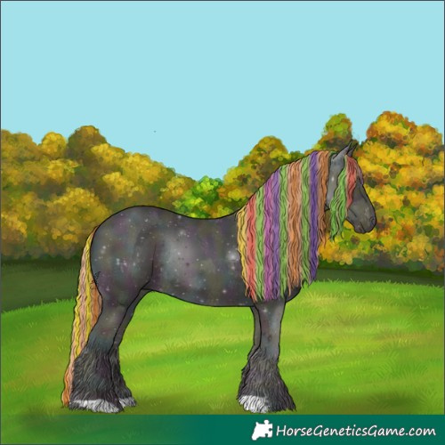 Horse Color:Painted Midnight Amber Cream Champagne Ice Pearl Rabicano