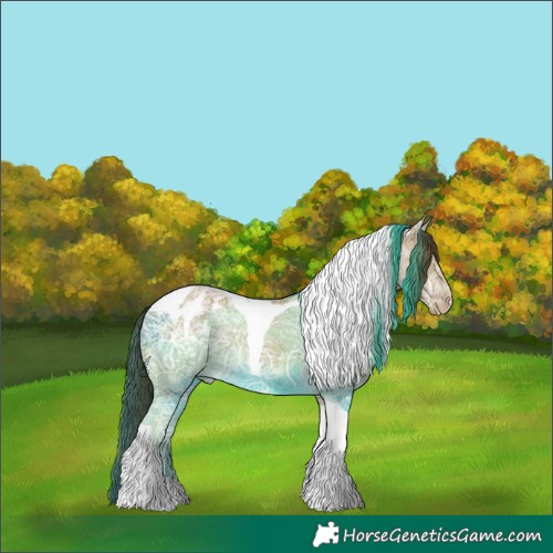 Horse Color:Classic Cream Champagne Ice Tobiano Appaloosa 