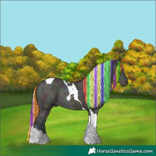 Horse Color:Painted Midnight Classic Cream Champagne Ice Pearl Tobiano Rabicano 