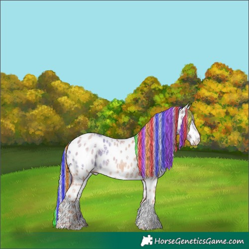 Horse Color:Painted Silver Classic Champagne Ice Tobiano Appaloosa 