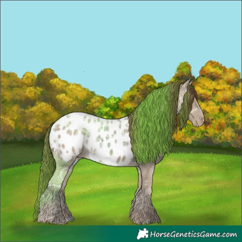 Horse Color:Classic Cream Champagne Ice Appaloosa Rabicano