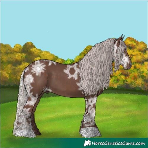 Horse Color:Silver Black Ice 