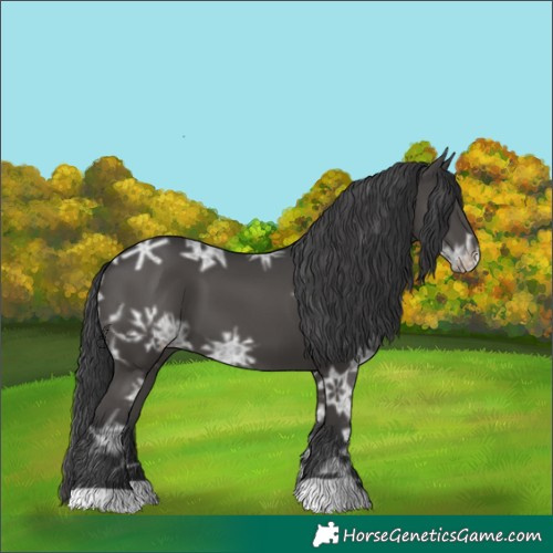 Horse Color:Black Ice 