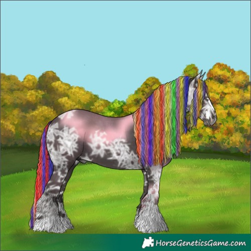 Horse Color:Gray Painted Silver Black Ice Sabino 