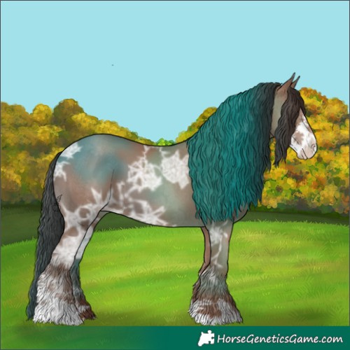 Horse Color:Classic Champagne Ice Sabino