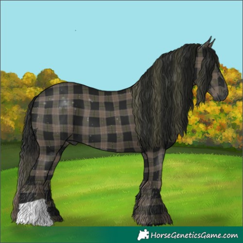 Horse Color:Gray Plaid Black