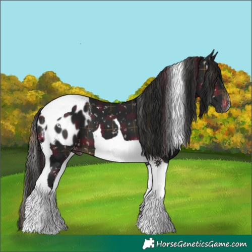 Horse Color:Gray Plaid  Brown Tobiano Blanket 