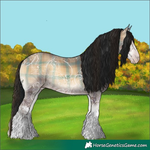 Horse Color:Gray Plaid  Sable Champagne Ice Onyx Sabino 
