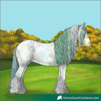 Horse Color:Watercolor White Spotted Chestnut Ice Tobiano Appaloosa
