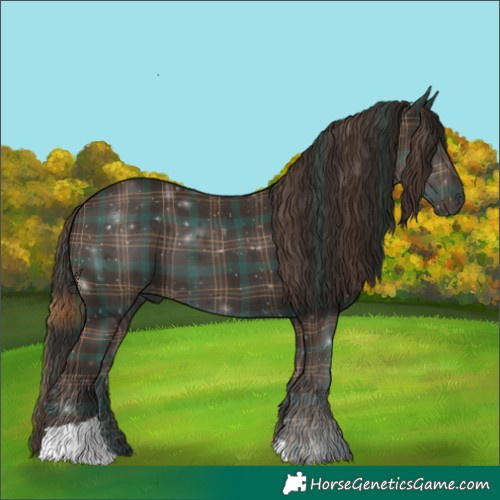 Horse Color:Plaid  Liver Chestnut 