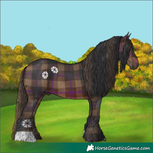 Horse Color:Plaid  Brown 
