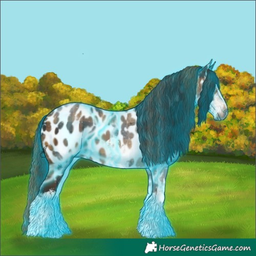 Horse Color:Gray Thunderstruck Plaid  White Spotted Brown Near Leopard 
