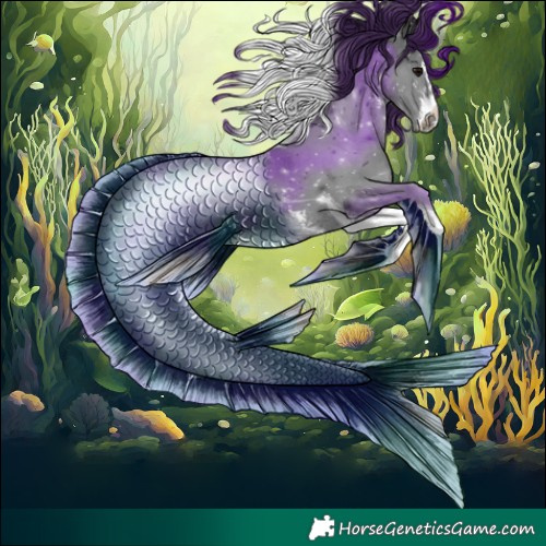 Horse Color:Black Sabino Tobiano 