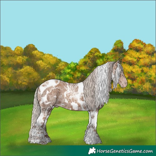 Horse Color:Gray White Spotted Silver Classic Champagne Ice Tobiano 