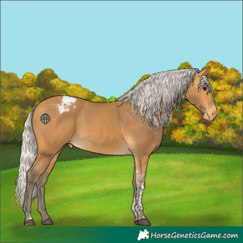 Horse Color:Silver Buckskin Tobiano Varnish 