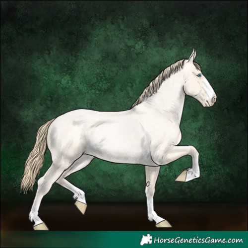 Horse Color:Buckskin Roan Pearl  and Buckskin Roan Pearl 