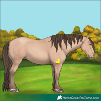 Horse Color:Amber Champagne 