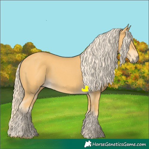 Horse Color:Palomino