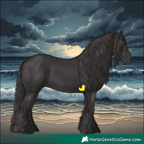 Horse Color:Smoky Black