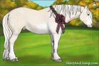Horse Color:Cremello Sabino  Brindle