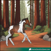 Horse Color:Bay Tobiano Rabicano