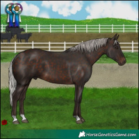 Horse Color:Silver Bay
