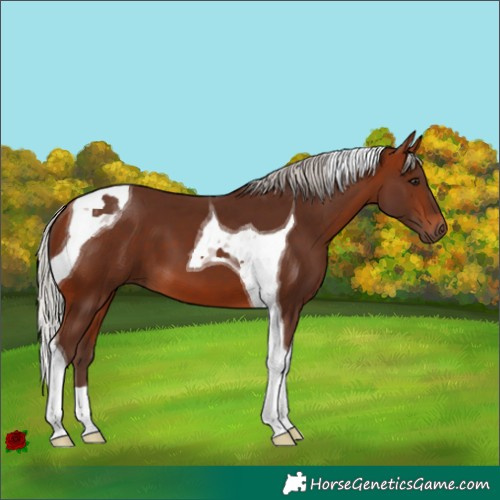 Horse Color:Silver Bay Tobiano